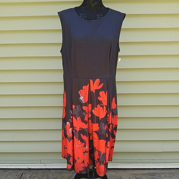 🌺Lily🌺 - Picture 1 of 7